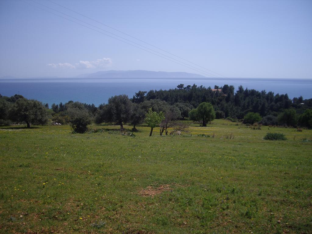 Apsedes Studios Trapezaki  Oda fotoğraf